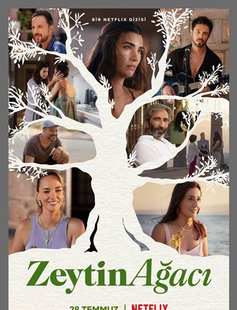 zeytin ağacı