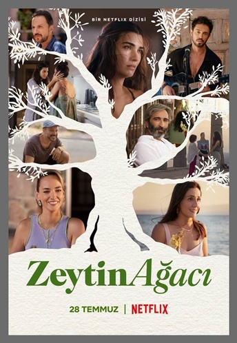 zeytin ağacı